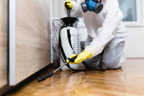 Best Best Pest Control Companies  in Monterey, TN