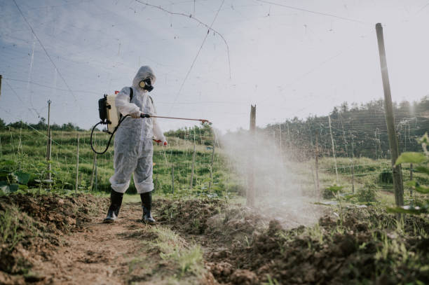 Best Local Pest Control Services  in Monterey, TN