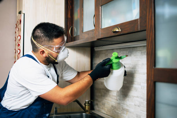 Best Pest Removal Services  in Monterey, TN