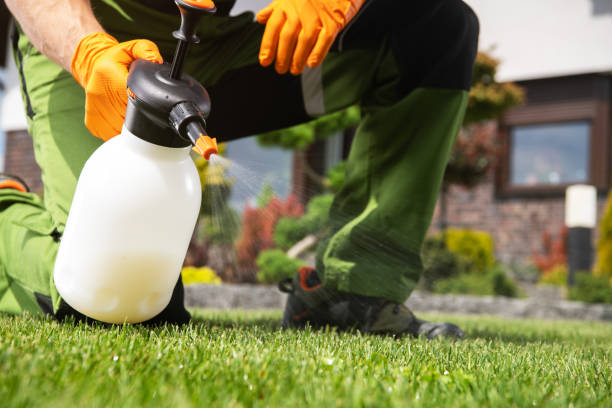Flea Control Services in Monterey, TN