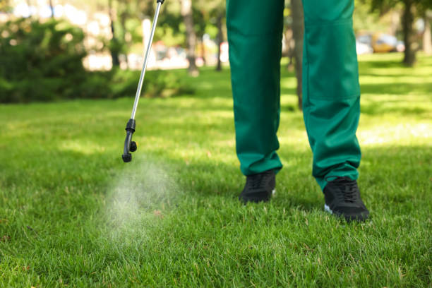 Best Wasp Removal Services  in Monterey, TN