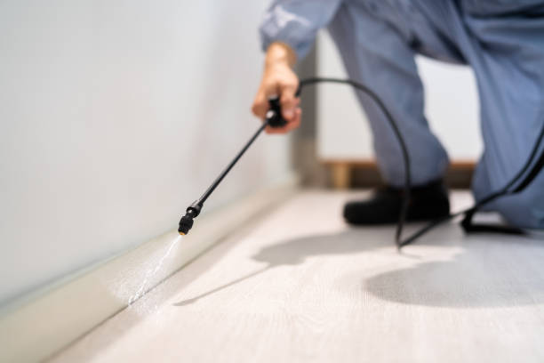 Professional Pest Control in Monterey, TN