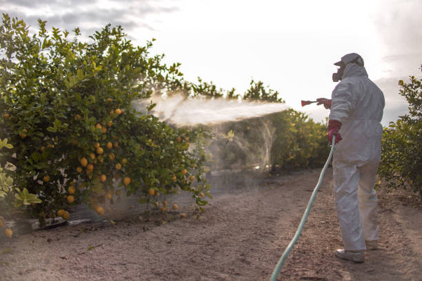 Best Exterminator Services  in Monterey, TN