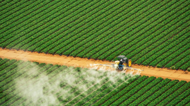 Best Pest Prevention Services  in Monterey, TN