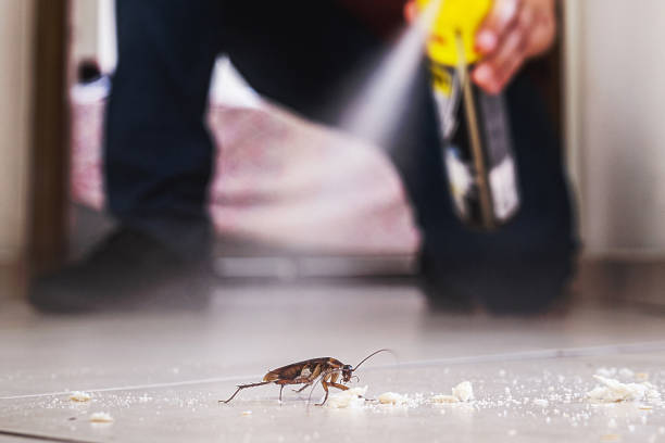 Best Affordable Pest Control Services  in Monterey, TN