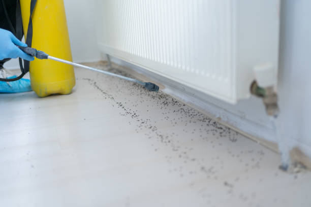 Pest Control Cost in Monterey, TN